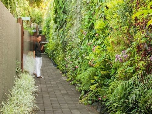 Ivilla By Ekosistem Seminyak  Luaran gambar